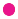 animation-circle